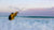 Reducing Eye Strain with Ocean Waves Sunglasses - Ocean Waves Sunglasses
