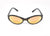 Lizard - Ocean Waves Sunglasses